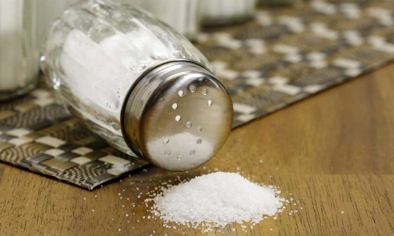 Study highlights the benefits of a salt reduction strategy to US food industry – The Health information