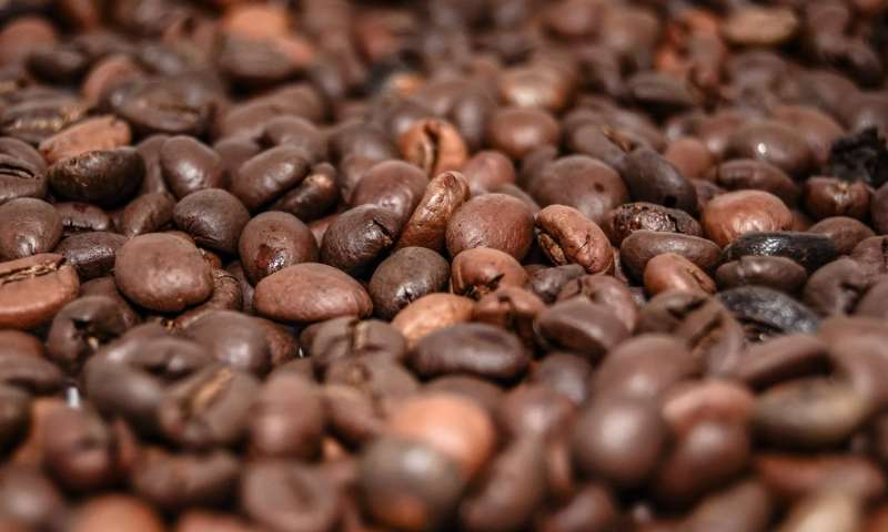 Too much caffeine during pregnancy may damage baby’s liver – The Health information