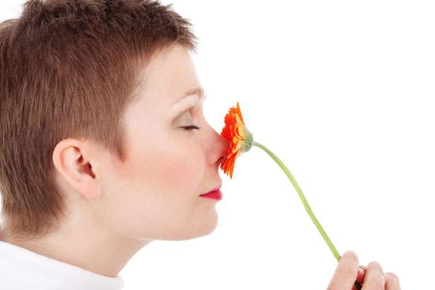 Hit your head, lose your sense of smell – The Health information