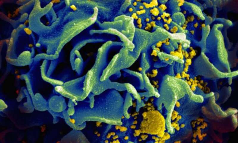 New implant, vaccine trial offer fresh HIV hope – The Health information