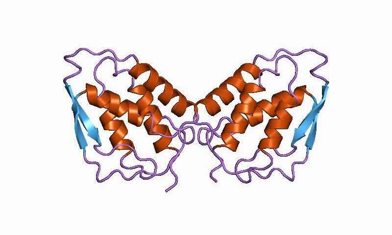 Fingerprint of multiple sclerosis immune cells identified – The Health information